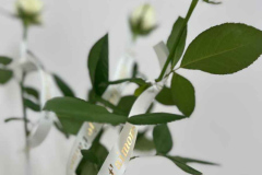 Personalised ribbons 