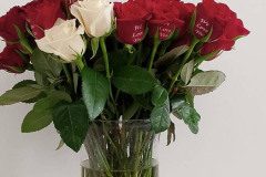 Printed Roses white and red